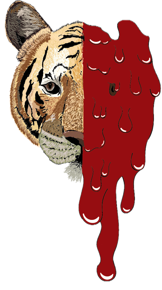 Illustration of tiger bleeding